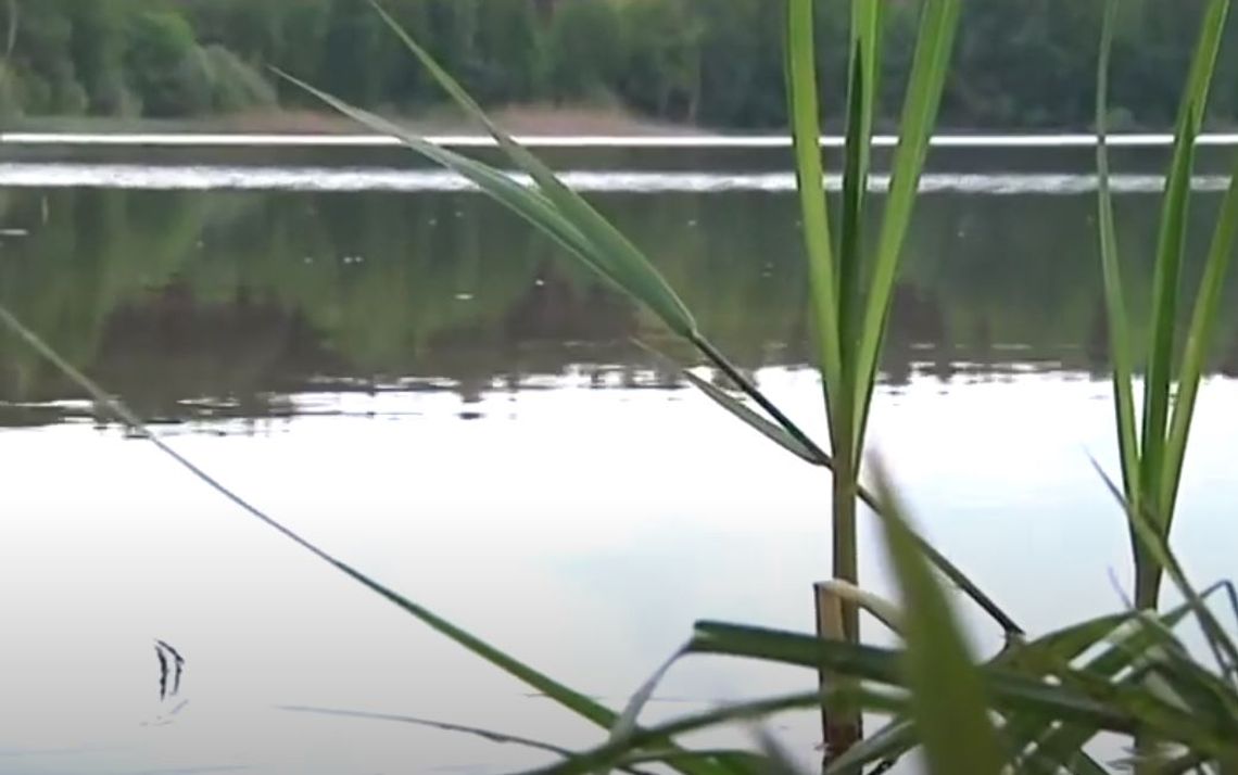 Sinice w jeziorze Czarnym. Decyzją Sanepidu kąpielisko zostało zamknięte