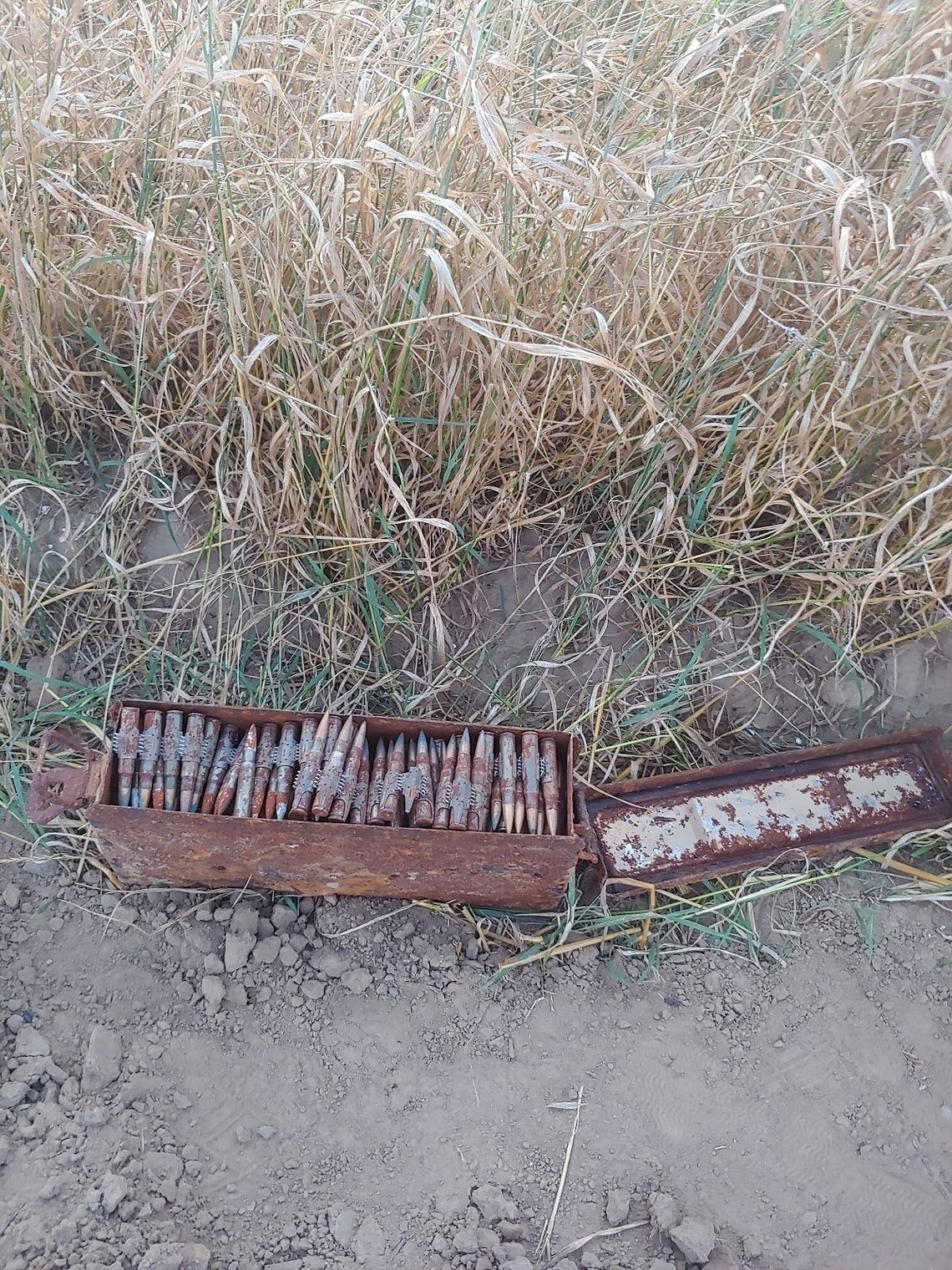 Skrzynka z amunicja karabinową odnaleziona w regionie podczas prac polowych