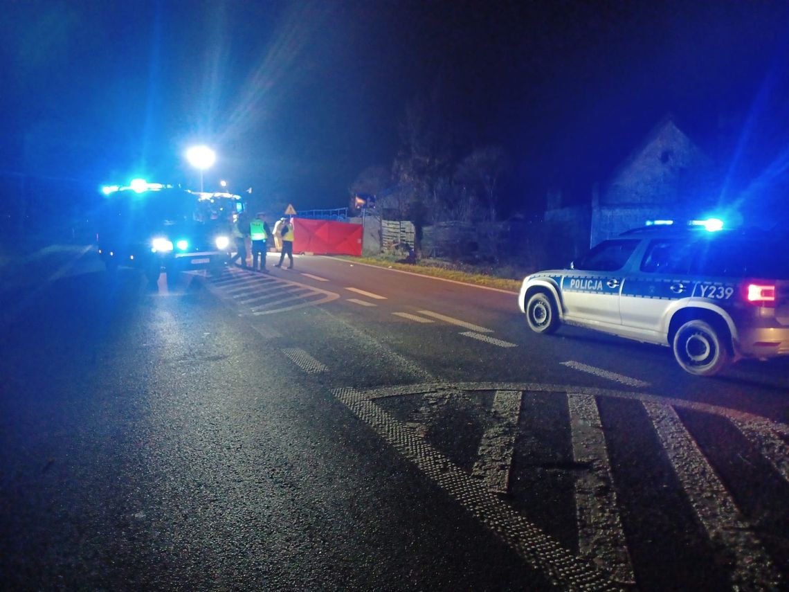 Śmiertelne potrącenie na krajowej 10. Służby walczyły o życie kobiety Śmiertelne potrącenie na krajowej 10. Służby walczyły o życie kobiety