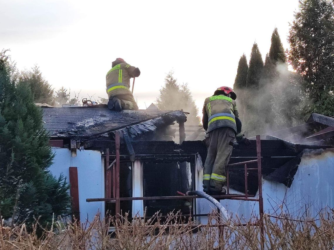 Spłonął domek letniskowy w centrum Włocławka Spłonął domek letniskowy w centrum Włocławka