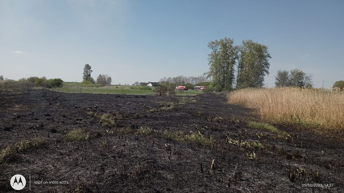 Strażacy gasili pożar ponad 2 godziny. Doszło do podpalenia łąki i lasu