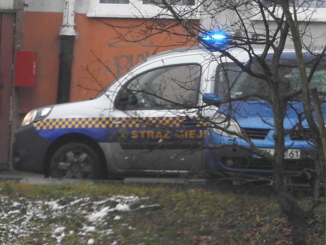 Straż Miejska odmawia pomocy w uruchomieniu aut? W awarii aparat rozruchowy, ale to nie jedyny powód