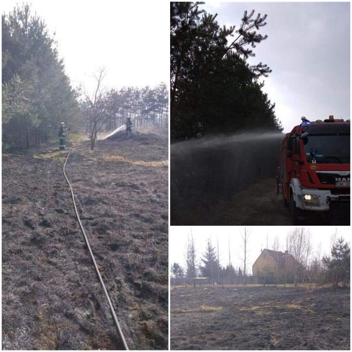 Straż z Włocławka pomagała gasić pożar lasu w Augustynowie