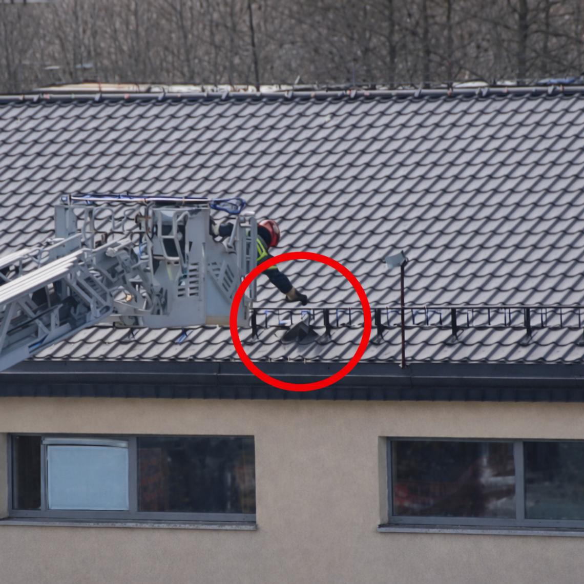 Strażacy i eko-patrol pod Dino, z dachu ściągano...