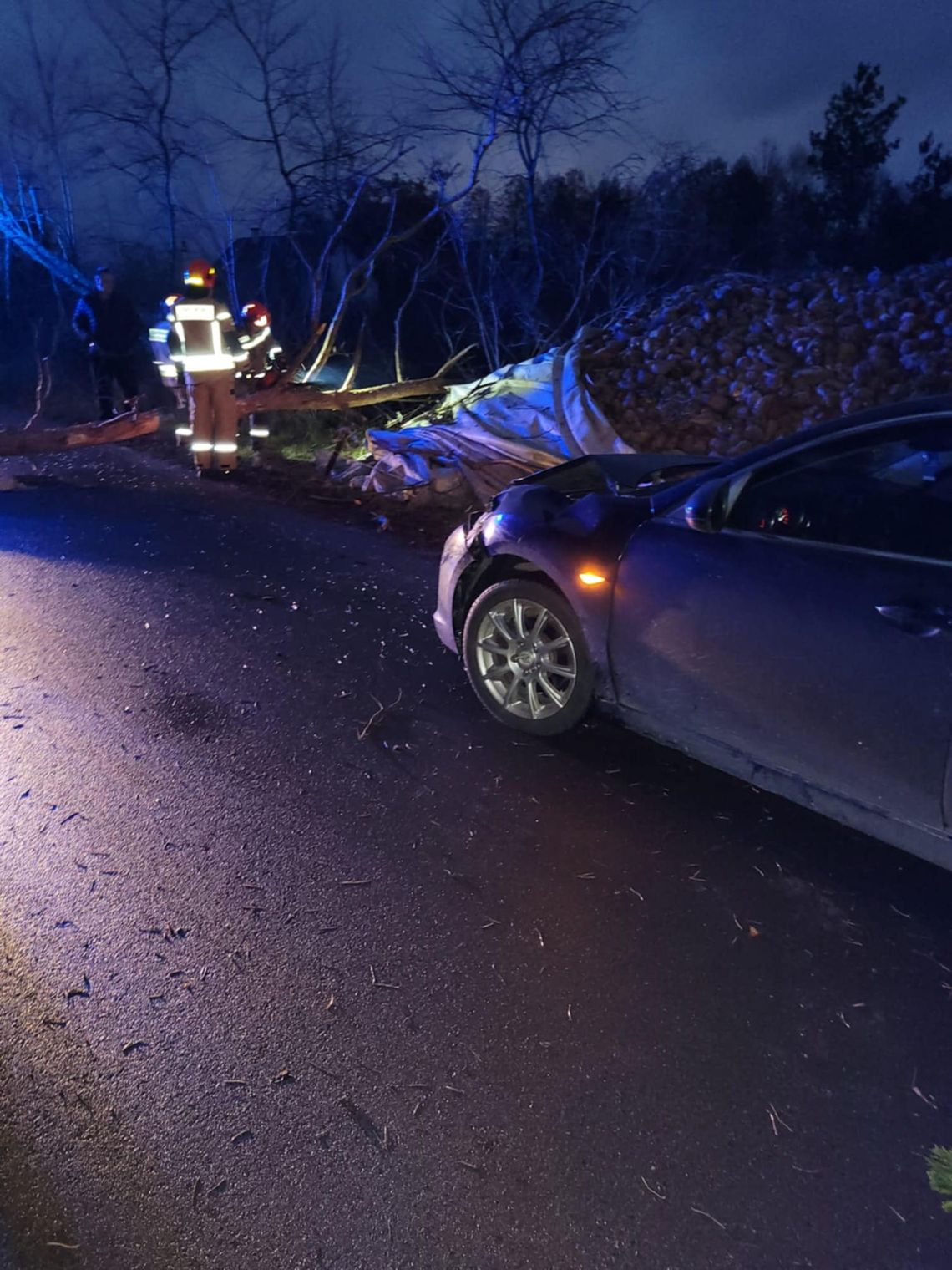 Strażacy interweniowali w związku z silnym wiatrem. Drzewa uszkodziły auta