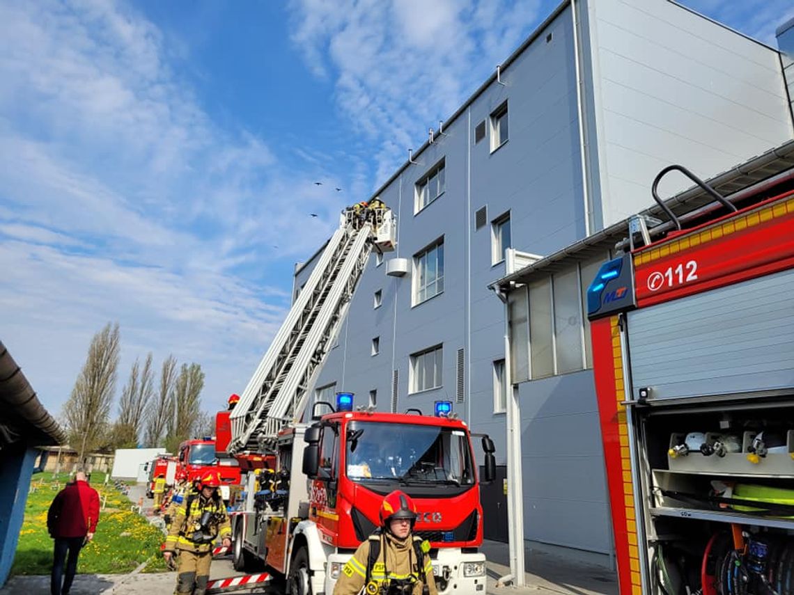 Strażacy z JRG nr 2 prowadzili ćwiczenia obiektowe w D&R Dispersions Strażacy z JRG nr 2 prowadzili ćwiczenia obiektowe w D&R Dispersions