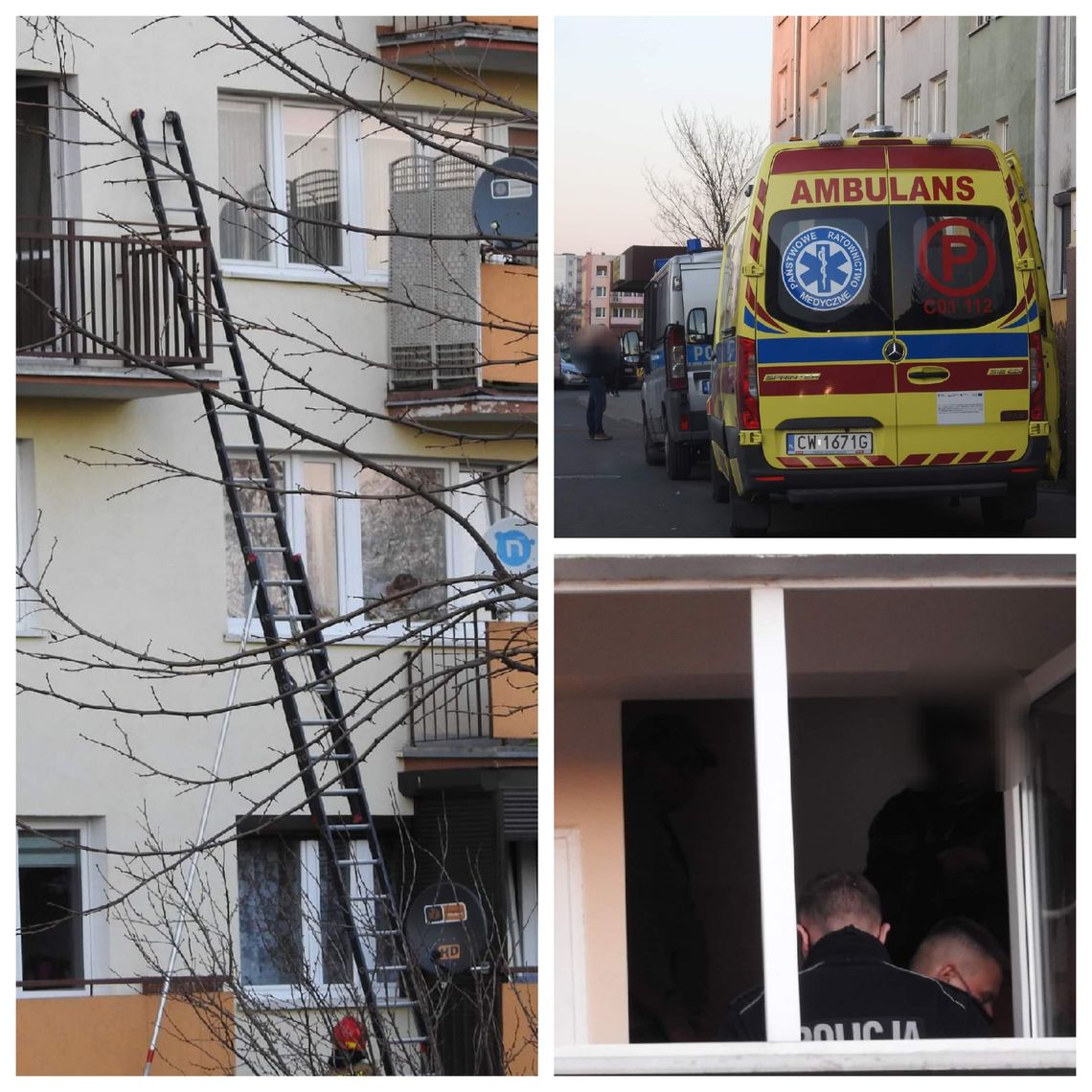 Tragedia na ul. Fredry. Znaleziono zwłoki kobiety