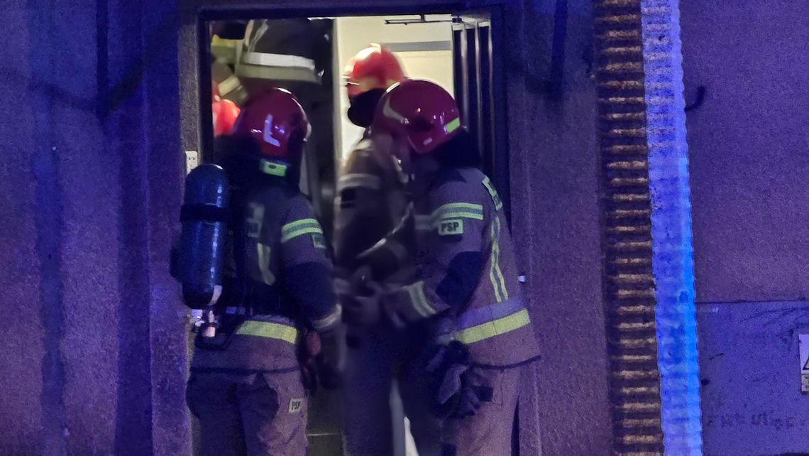 Pożar zabrał życie kotom i psom. Zadymienie w kamienicy przy ul. Kaliskiej