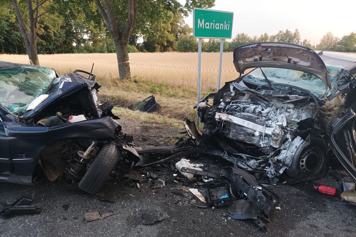 Tragiczny wypadek w regionie. Kierowca zmarł w karetce