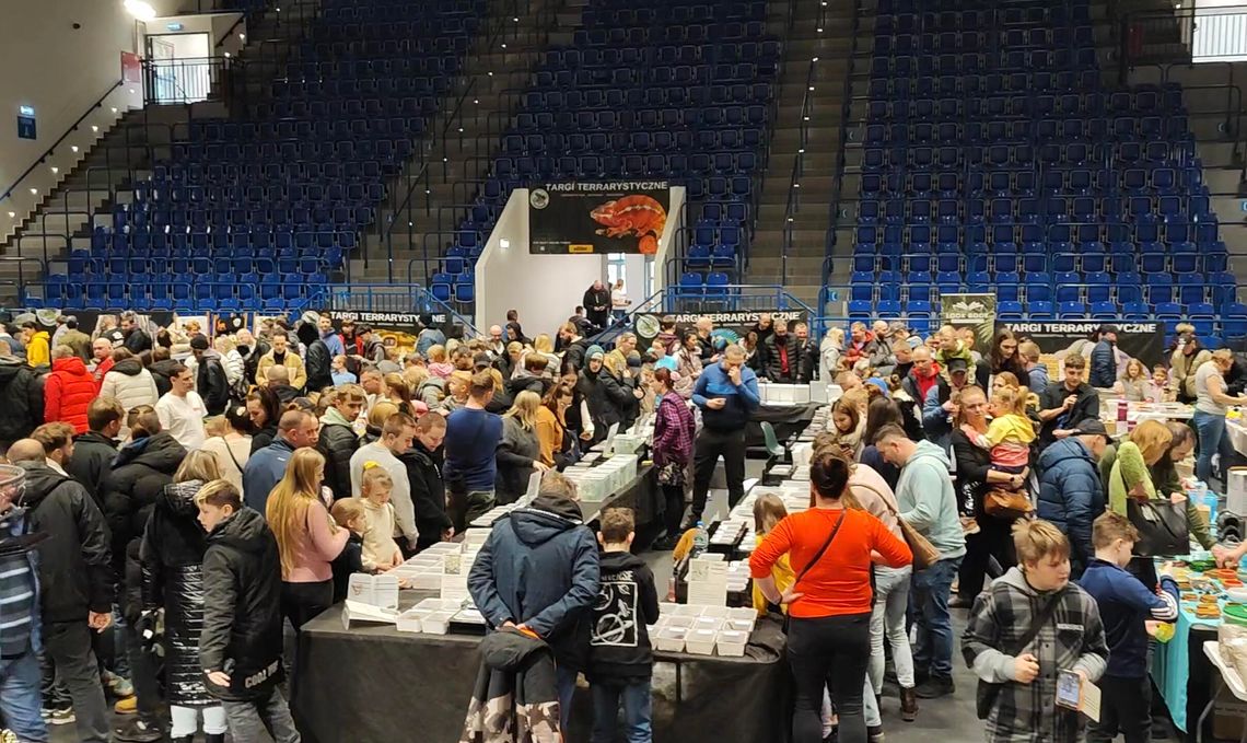 Gady opanowały Halę OSiR. Trwają Targi Terrarystyczne Gady opanowały Halę OSiR. Trwają Targi Terrarystyczne