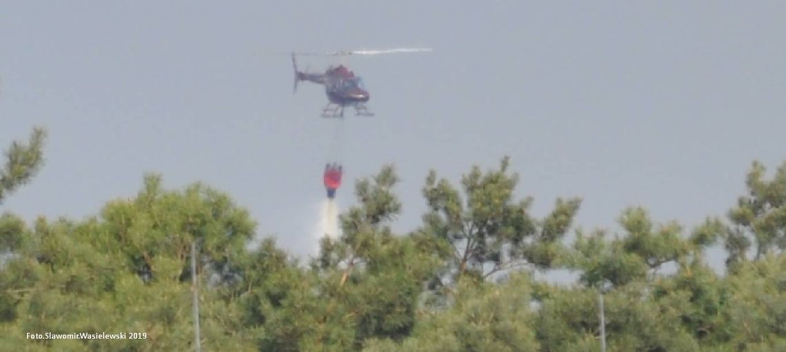 Tylko wczoraj cztery razy podpalano las! Na szczęście strażacy zdążyli gasić pożary w zarodku