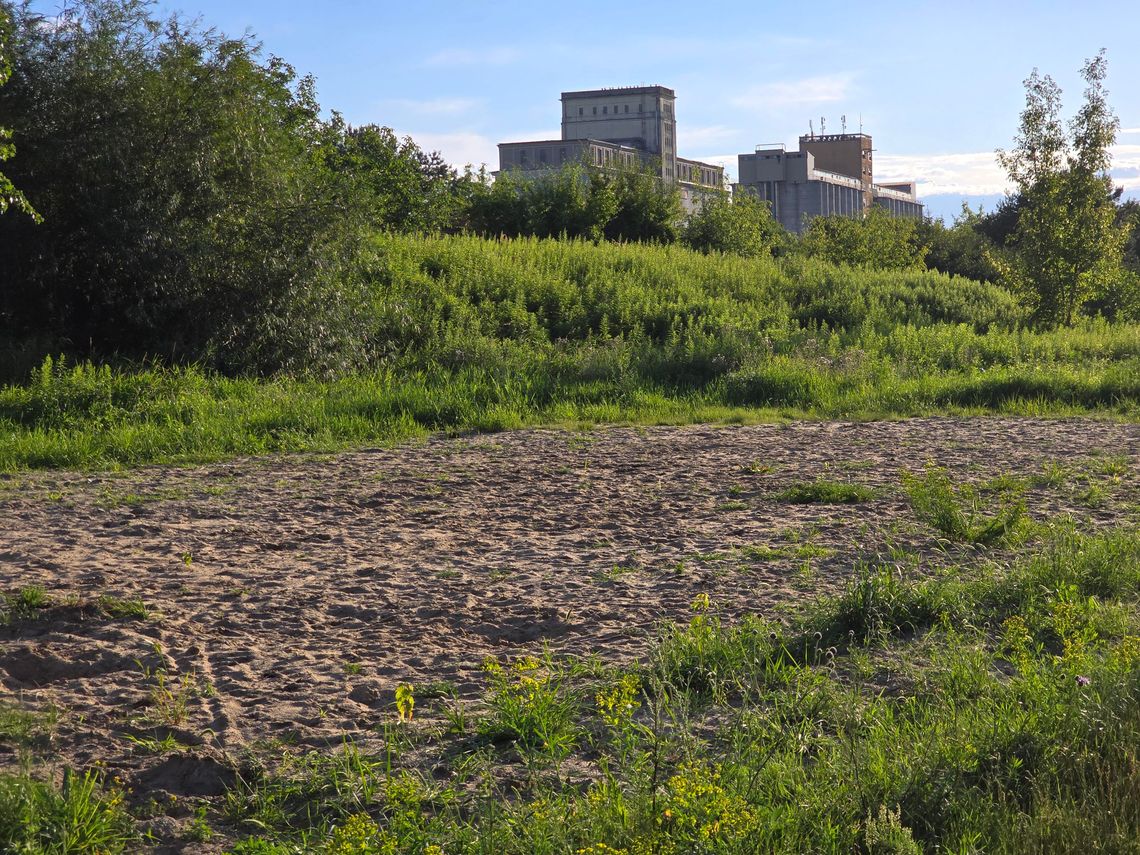 Urząd Miasta: „Utrzymywanie go było nieracjonalne”. Boisko z Płockiej zniknęło na dobre
