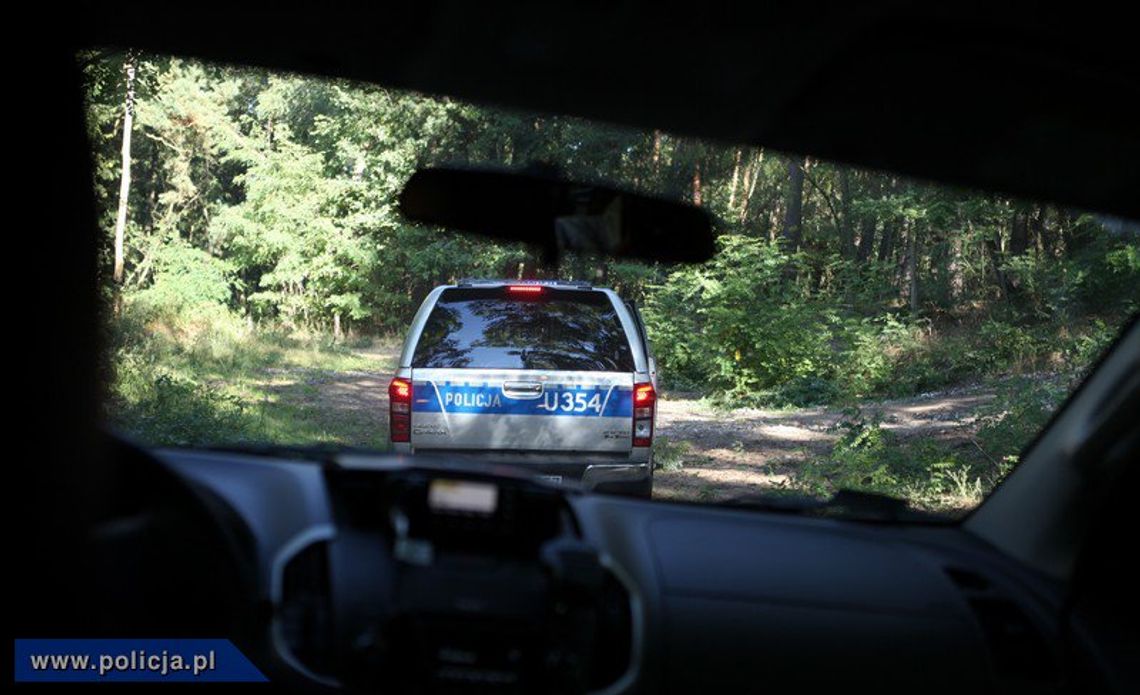 W lesie w okolicach Bobrownik zgubiło się czterech grzybiarzy. Pomogła Straż Leśna i Policja