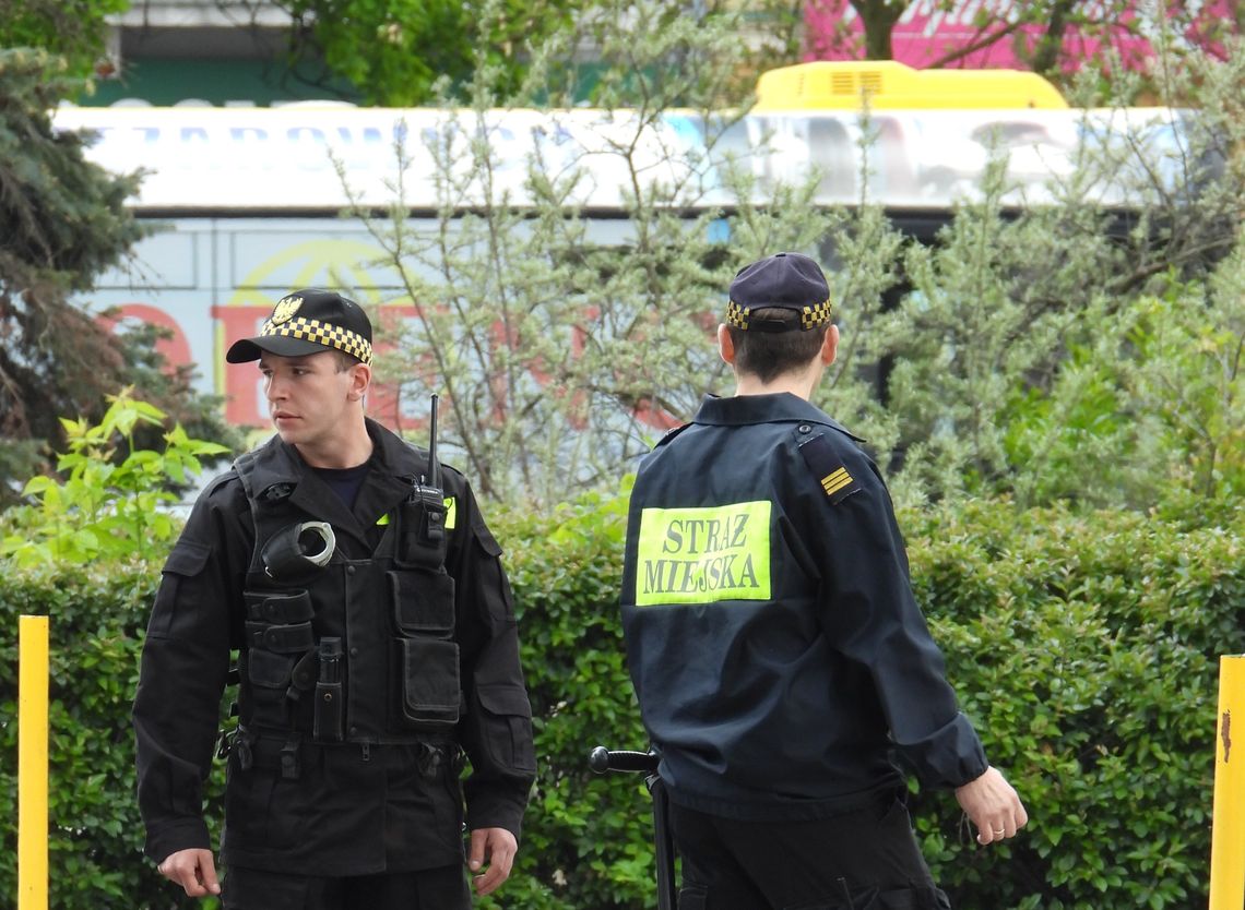 W Straży Miejskiej wolne cztery etaty. Komendant ogłosił nabór