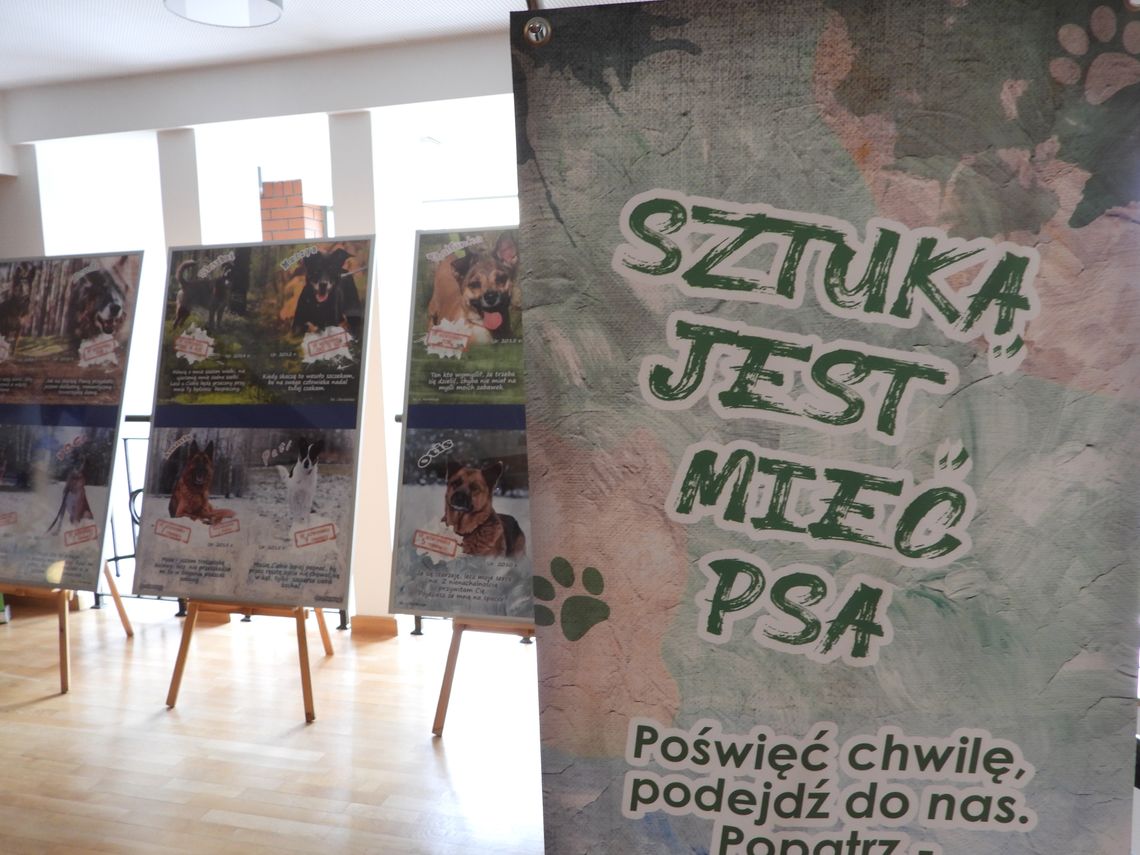 W Teatrze Impresaryjnym otwarto wystawę "Sztuką jest mieć psa"