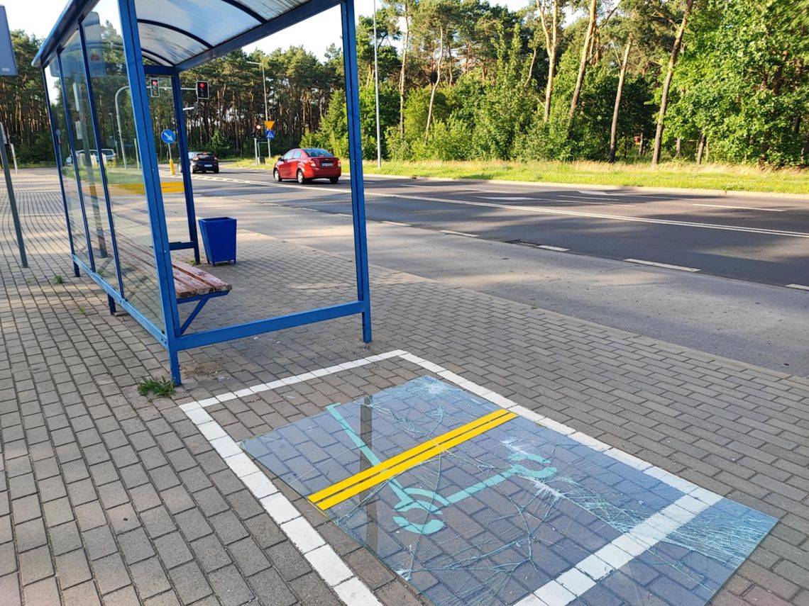 W tym roku zostało uszkodzonych 28 wiat przystankowych. Sprawców nie ustalono