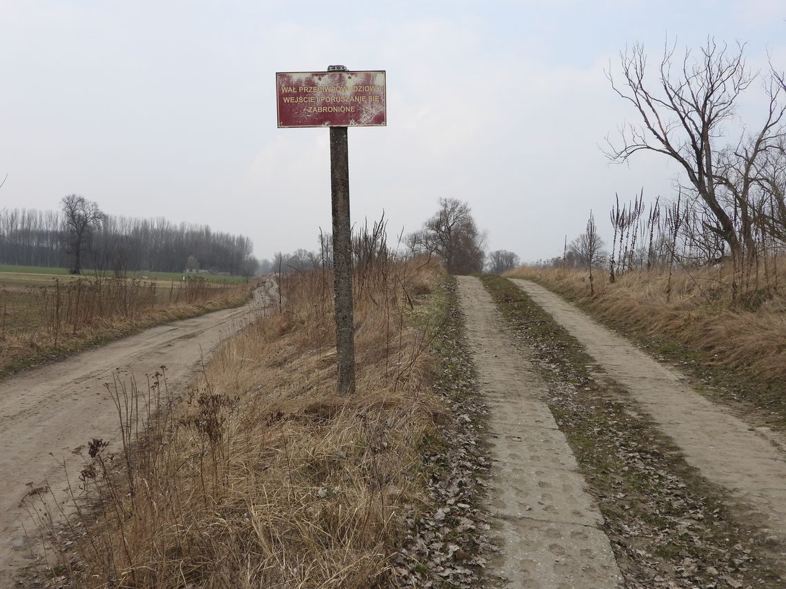 Wał przeciwpowodziowy zostanie odrestaurowany. Ratusz ogłosił postępowanie ofertowe