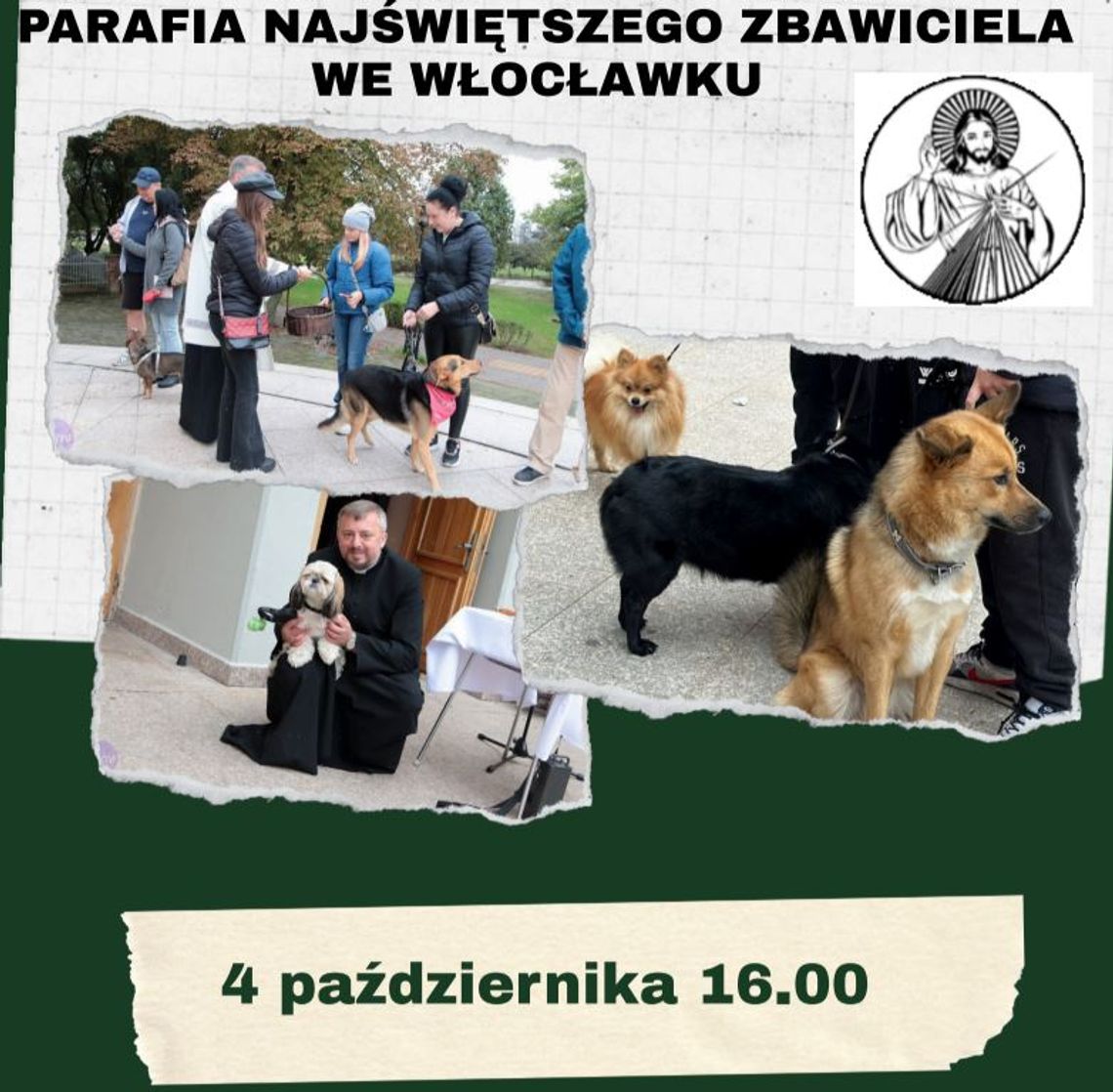 We Włocławku pobłogosławią zwierzęta