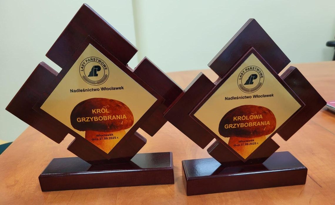 We Włocławku wybiorą Króla i Królową Grzybobrania