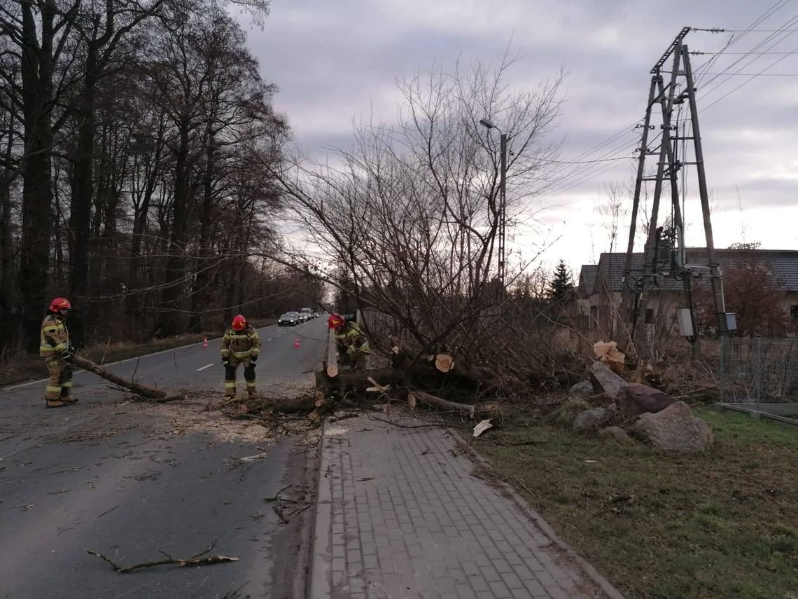 Wiatr nie słabnie. Cały czas interweniuje straż pożarna