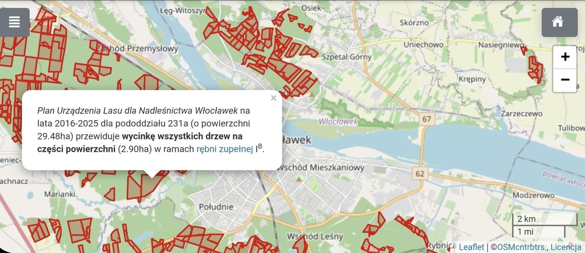 Wielka wycinka Lasów Państwowych we Włocławku? W sieci pojawiła się mapa