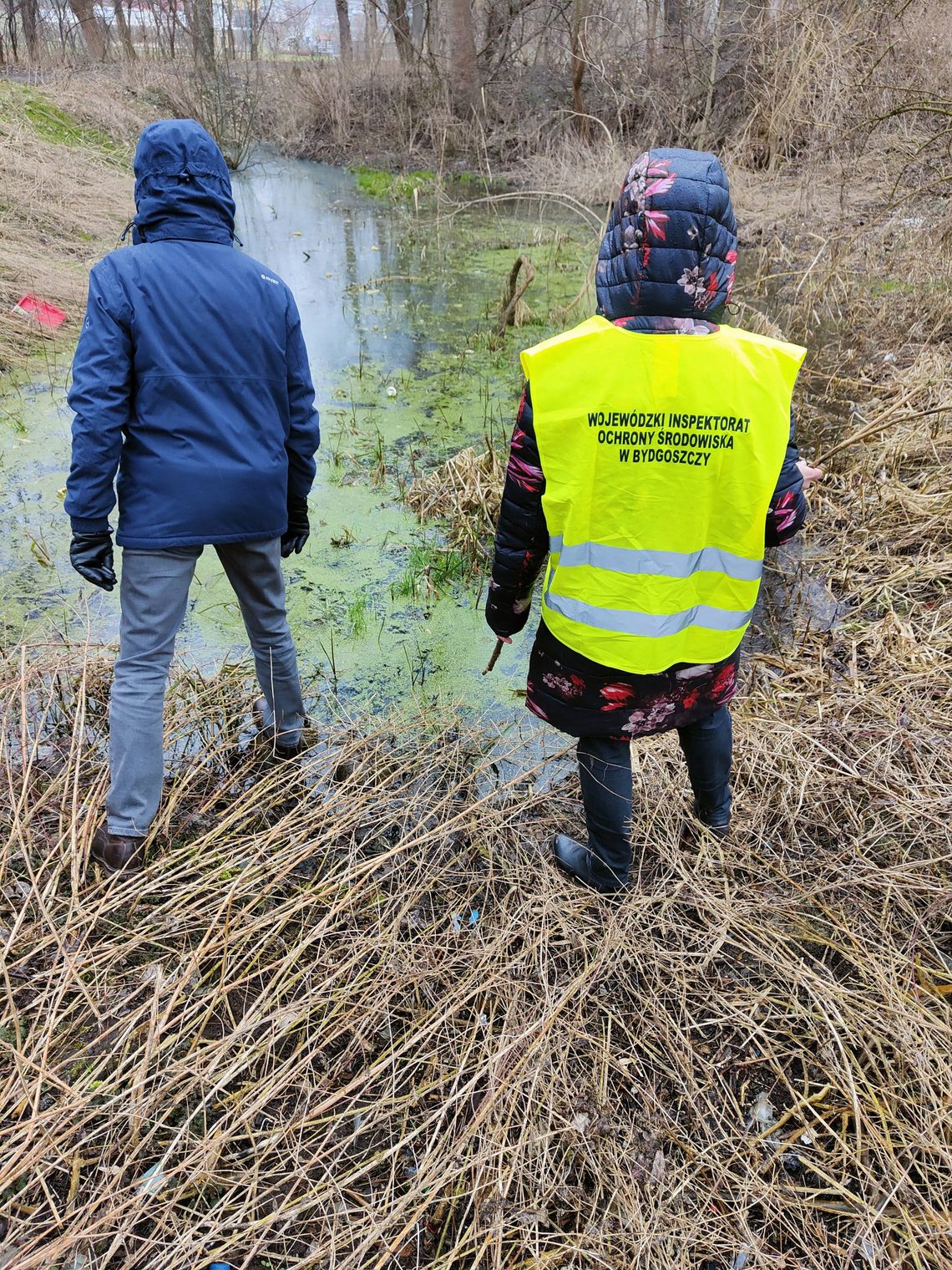 WIOŚ zbadał jakość wody w rowie na Słodowie oraz w Zgłowiącze, są wyniki