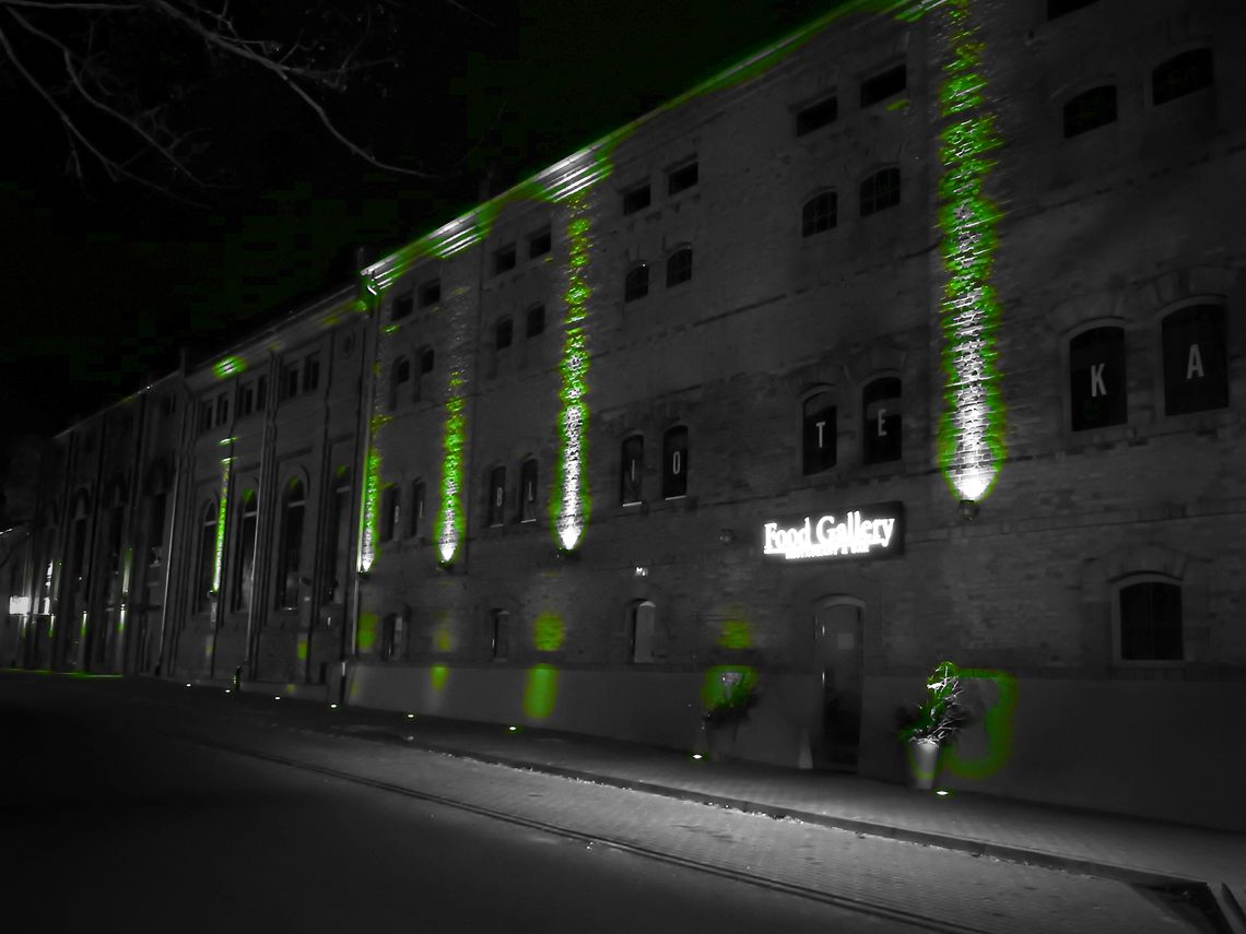 Włocławek w projekcie Global Greening 2019