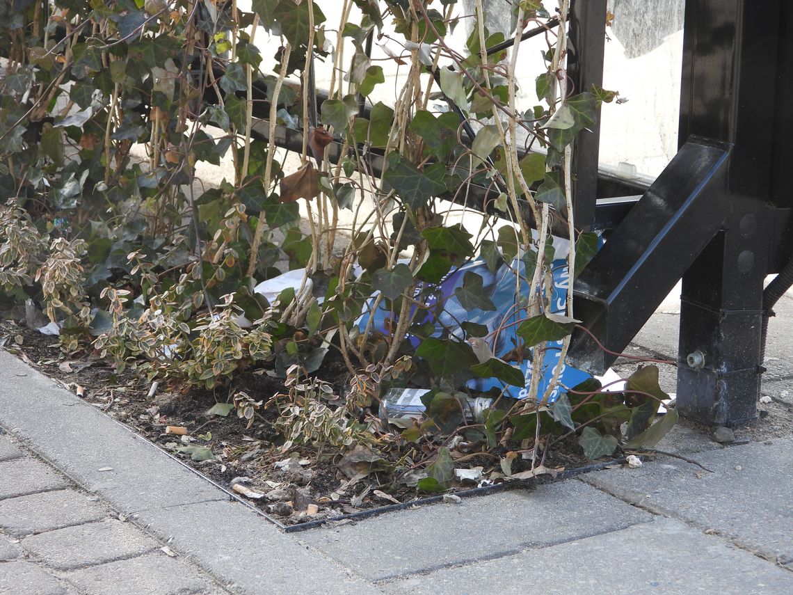 Włocławianin pyta kiedy zostaną uprzątnięte śmieci znajdujące się za "Zielonym Przystankiem" przy ulicy Kaliskiej