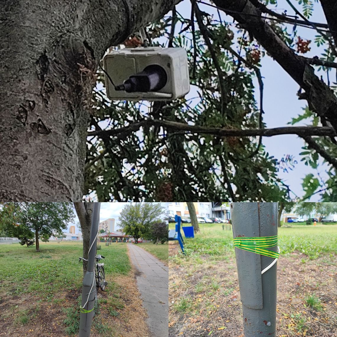 Włocławianka niepokoi się o dzieci. Do latarni podłączony jest przewód biegnący na drzewo