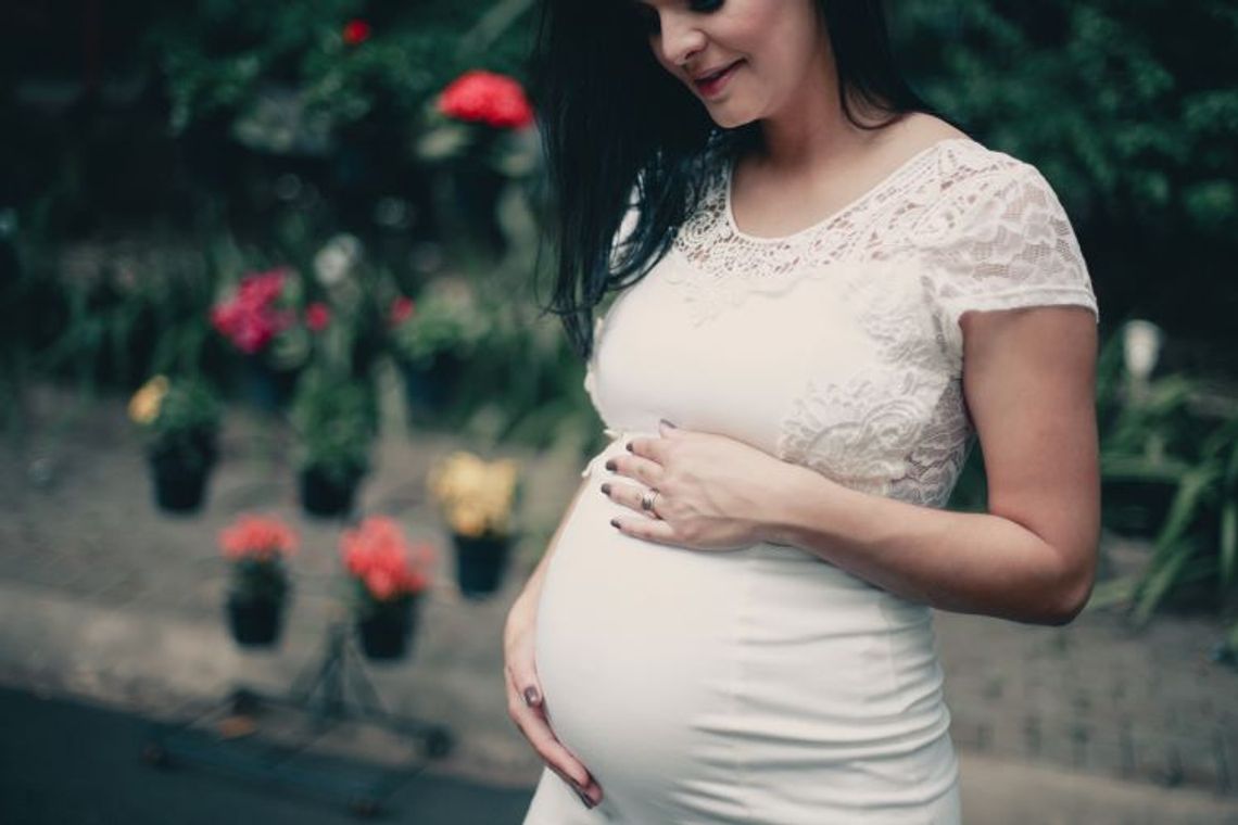 Włocławscy przedstawiciele PO będą zbierać podpisy pod projektem dot. in vitro