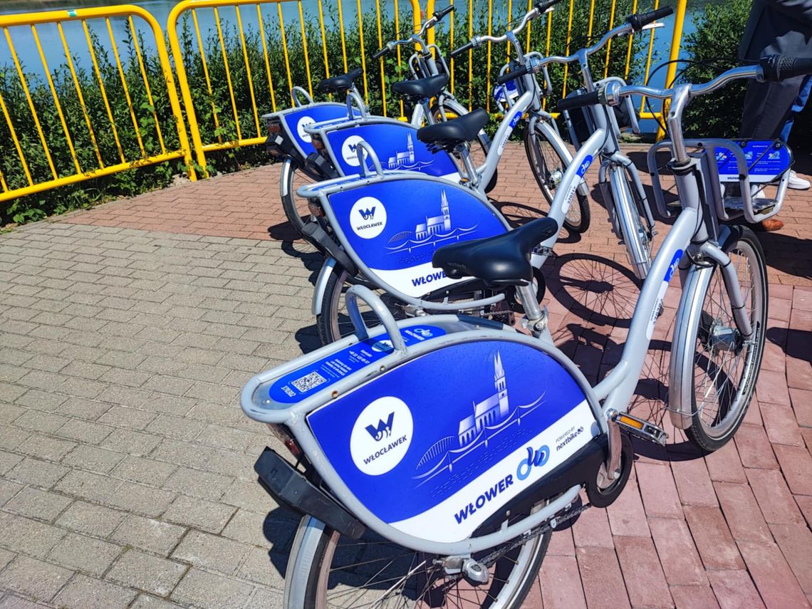 Włowery znowu w naszym mieście. Na razie jest ich sto, ale będzie więcej