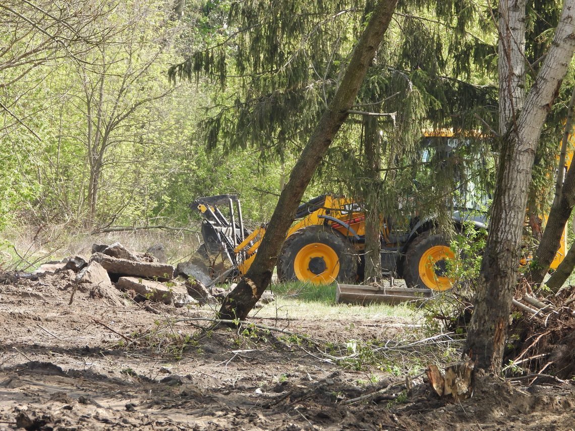 Wycinają 56 drzew, usuwają gruz i śmieci.Trwa oczyszczanie terenu miejskiego przy ulicy Lisek