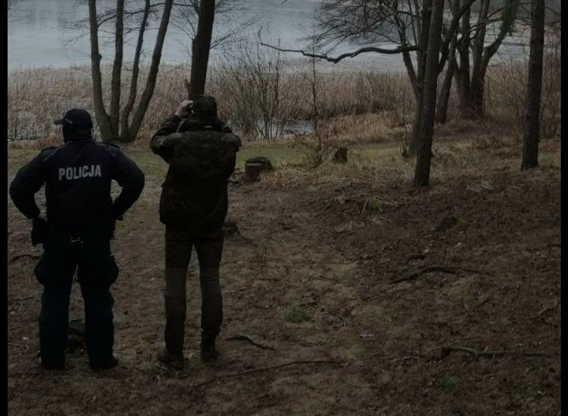Wycinanie gałęzi świerkowych na dekoracje pomników, to mandat nawet do 500 zł