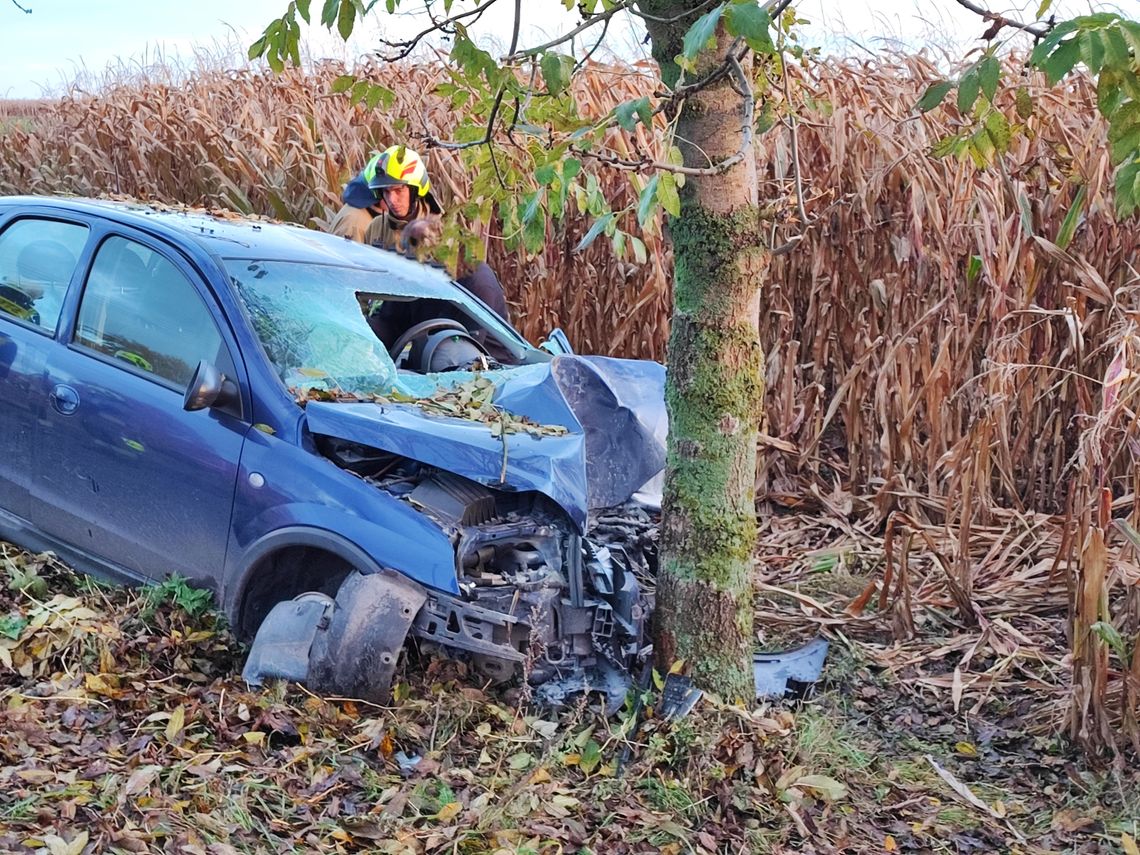 Wypadek pod Włocławkiem. Kierowca był zakleszczony