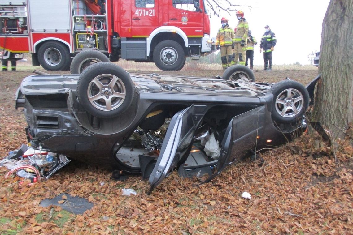 Wypadek w Krzyżówkach. Kierowca toyoty wypadł z drogi, zjechał do rowu, dachował i uderzył w drzewo