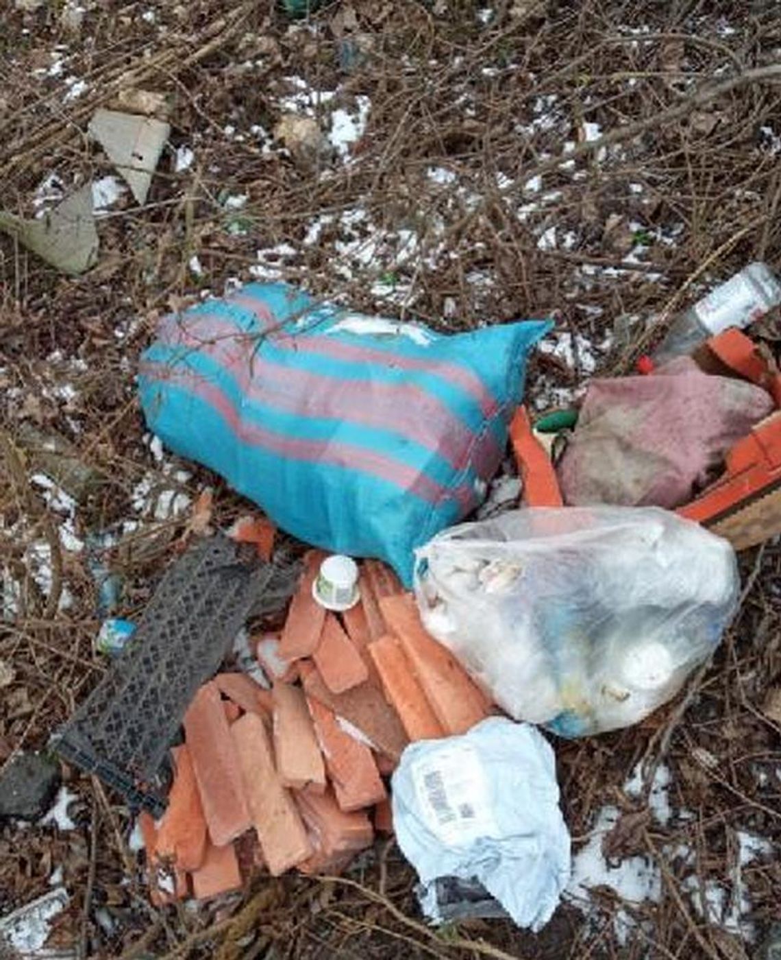 Wyrzucił śmieci do rowu. Zapłaci 500 zł mandatu