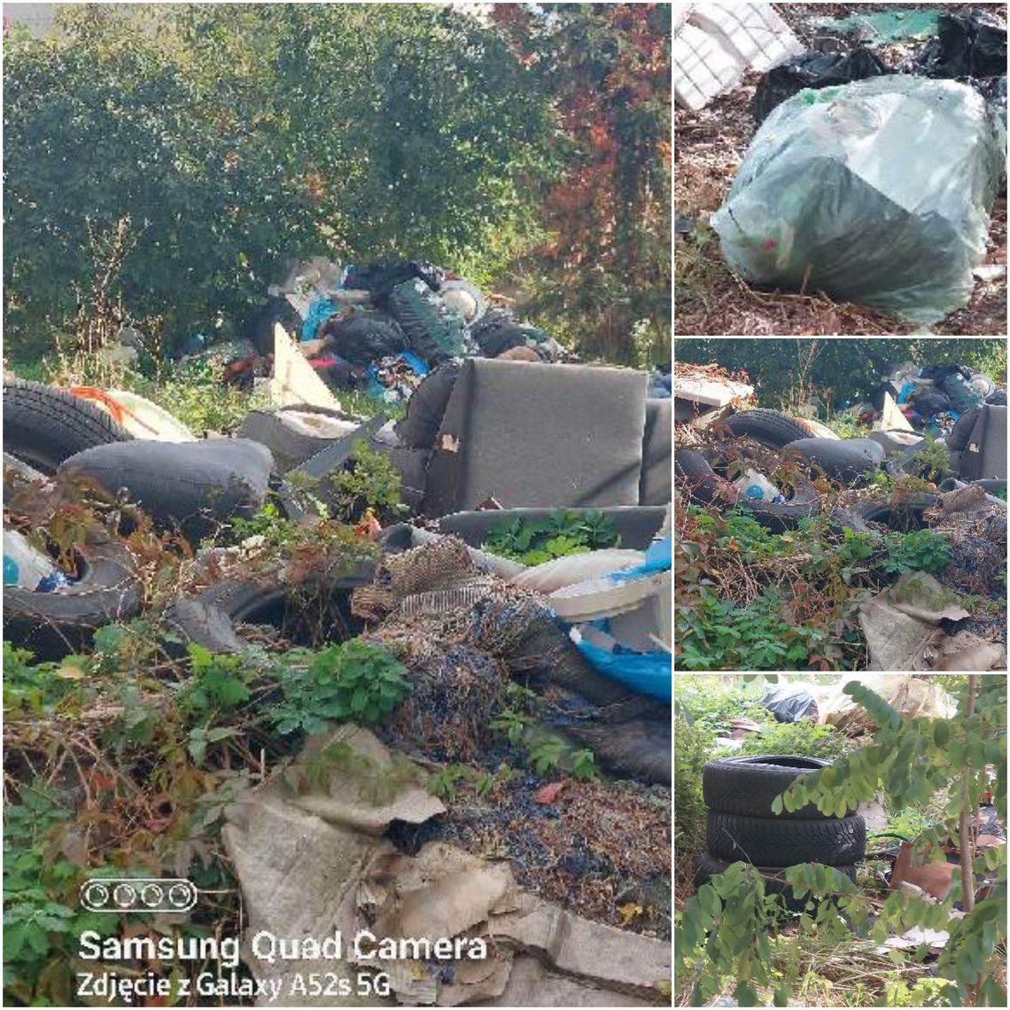 Wysypisko w centrum miasta "Przyjeżdzają i wyrzucają tu śmieci, a my nie możemy dać rady ze szczurami"
