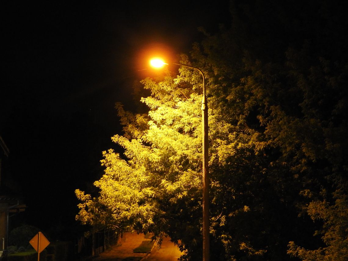 Z 320 zł netto do 2150 zł netto wzrosła cena energii elektrycznej za 1 MWh dla jednostek miejskich