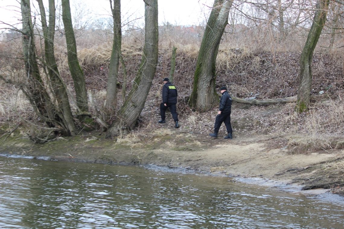 Zabójstwo w gm. Lubicz. W obławie uczestniczyło kilkuset policjantów