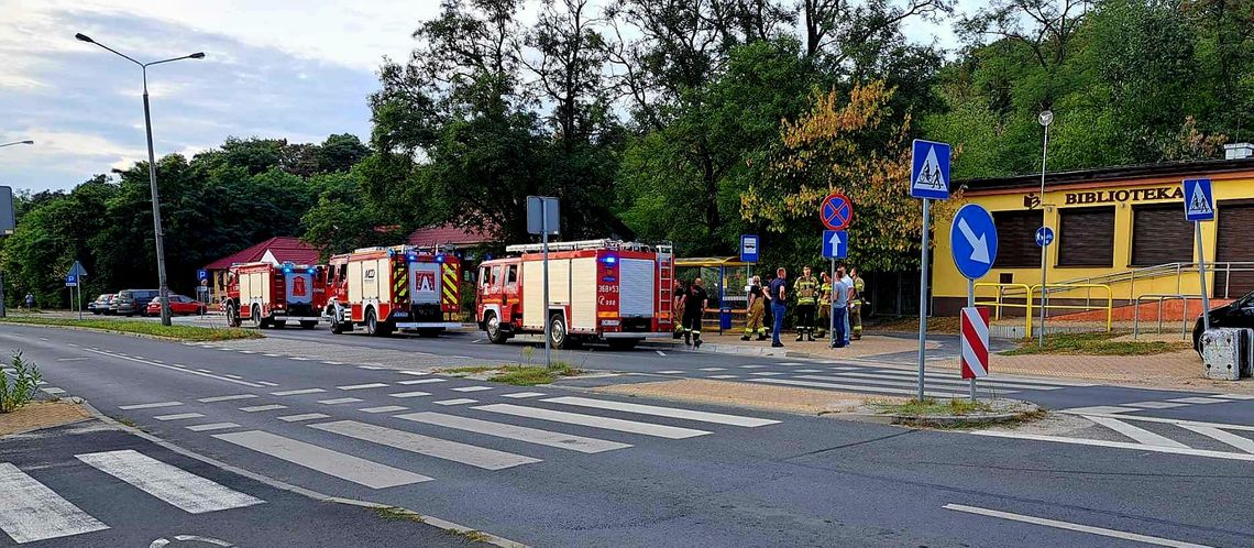 Zaginęła starsza kobieta. Służby przeszukują Zawiśle