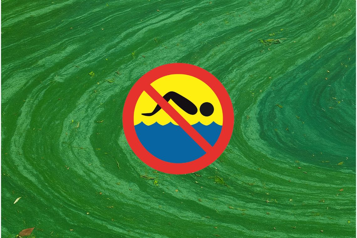 Zakaz kąpieli w jeziorze Czarnym. Decyzję wydał Sanepid