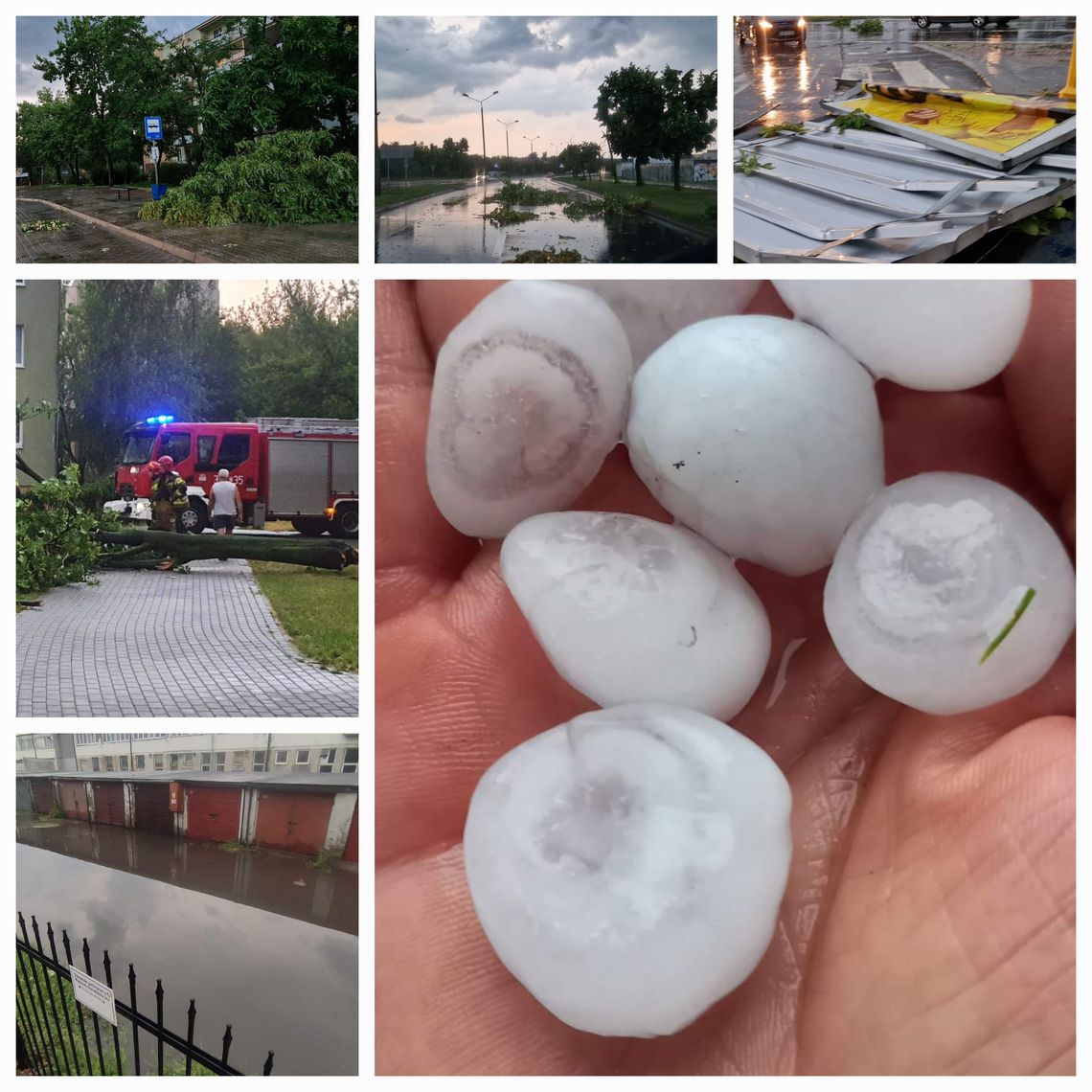 Zalane ulice, powalone drzewa i zerwane billboardy. Włocławek po nawałnicy i gradobiciu