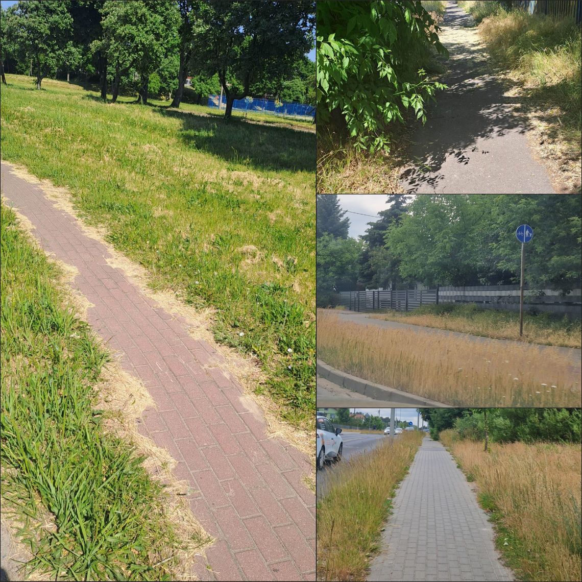 Zarośnięte miejskie trawniki, ścieżki rowerowe i chodniki, ale u prezydenta i zastępcy wykoszone