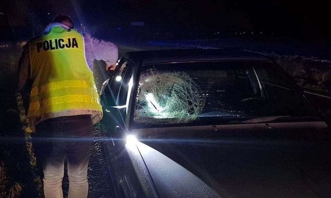 Zatrzymanie obywatelskie pijanego włocławianina. Znieważył policjantów, nie posiadał uprawnień, wjechał do rowu...