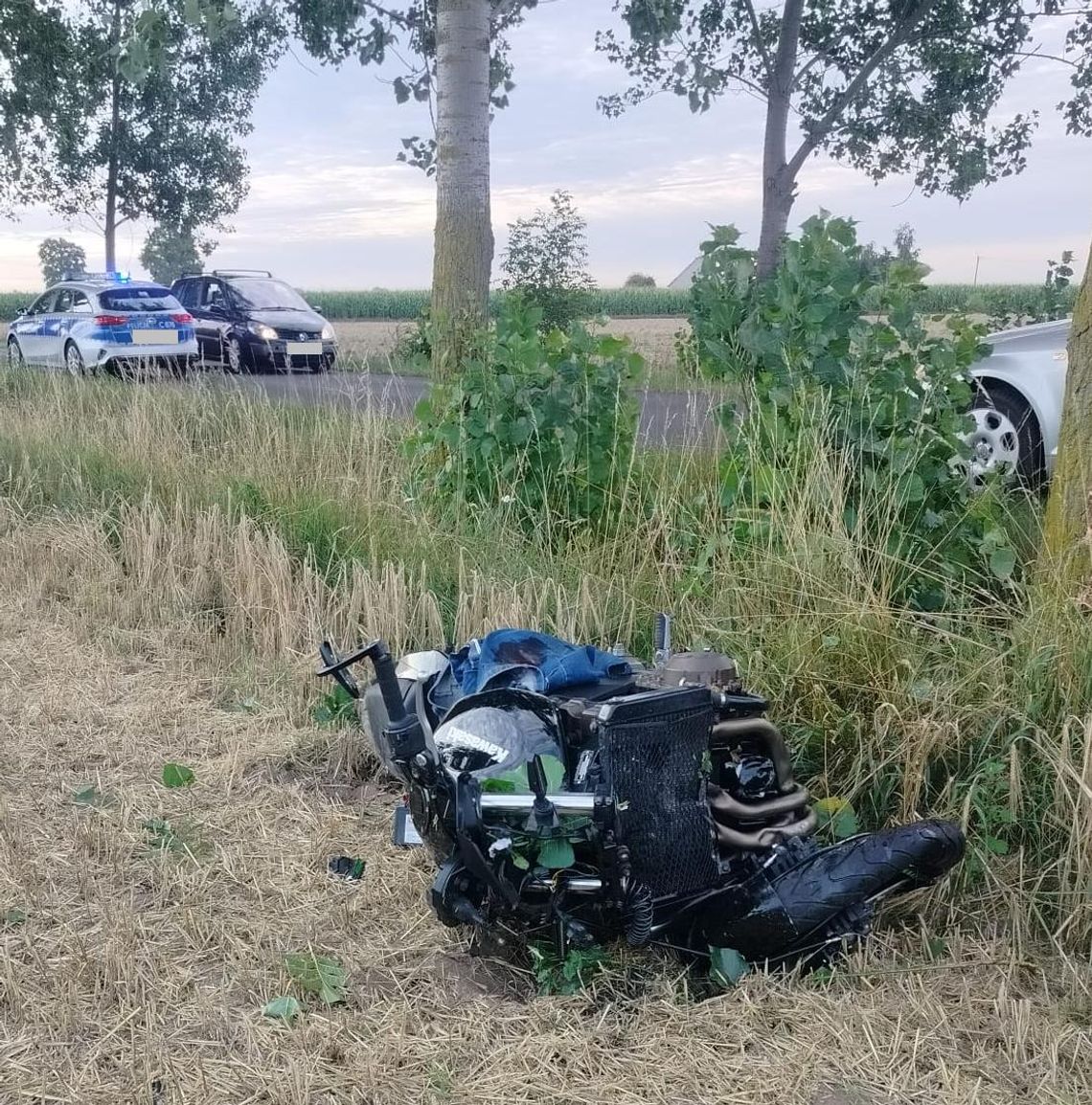Zderzenie motocyklisty z drzewem w gm. Osięciny, chciał uniknąć zderzenia z sarną