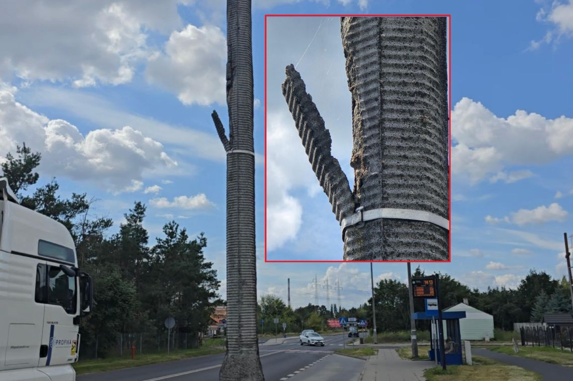 Zgłoszenie mieszkanki Włocławka uratowało bezpieczeństwo pieszych – słup oświetleniowy naprawiony Zgłoszenie mieszkanki Włocławka uratowało bezpieczeństwo pieszych – słup oświetleniowy naprawiony