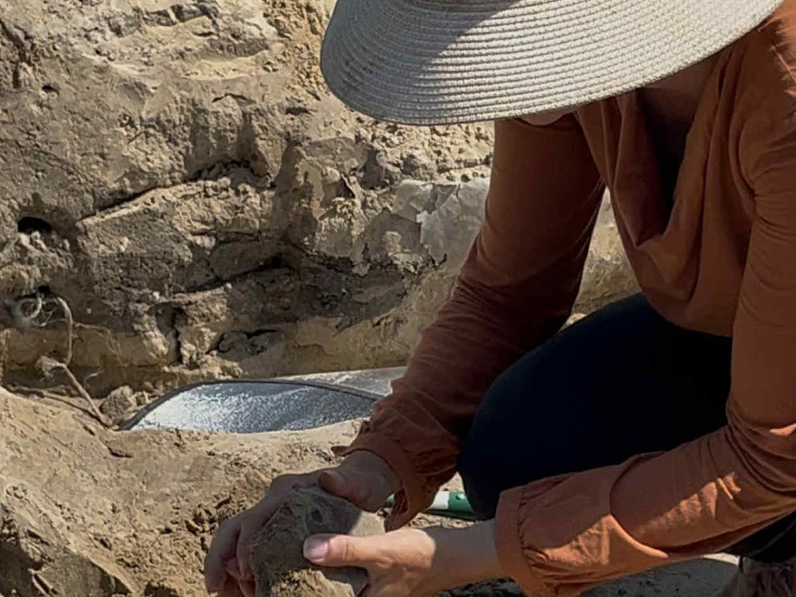 Trwają wykopaliska archeologiczne w powiecie włocławskim. Znaleziska z epoki brązu