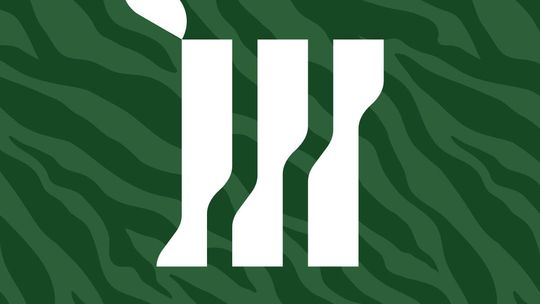 Hurtownia florystyczna - pm-m.pl