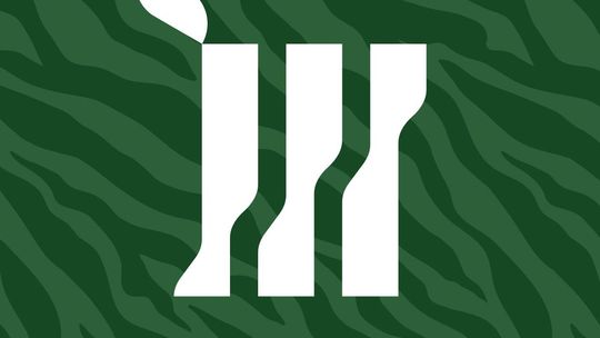 Hurtownia florystyczna - pm-m.pl