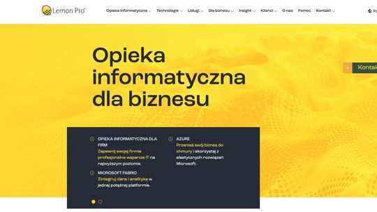 Lemon Pro: profesjonalne usługi IT dla firm